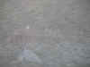 DSCN2883.jpg (82353 bytes)