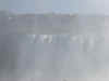DSCN2920.jpg (42121 bytes)