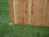 DSCN3360.jpg (174704 bytes)