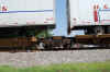 DSC_0247.jpg (231945 bytes)
