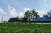 DSC_0260.jpg (261396 bytes)
