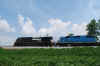 DSC_0261.jpg (240282 bytes)