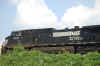 DSC_0262.jpg (200645 bytes)