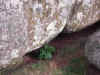 DSC_4152.jpg (156920 bytes)
