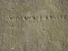 DSC_4156.jpg (144979 bytes)