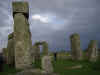 DSC_4167.jpg (97289 bytes)