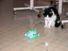 DSCN2840.jpg (92423 bytes)