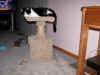 DSCN2969.jpg (200488 bytes)