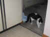 DSCN3354.jpg (93211 bytes)