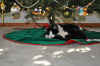 DSC_1943.jpg (113793 bytes)