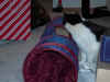 DSC_1974.jpg (119752 bytes)