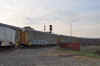 DSC_1290.jpg (86523 bytes)