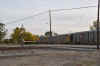 DSC_1294.jpg (101477 bytes)