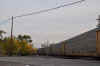 DSC_1296.jpg (77710 bytes)