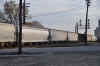 DSC_1315.jpg (107600 bytes)