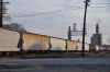 DSC_1319.jpg (98370 bytes)