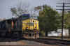 DSC_1341.jpg (107252 bytes)