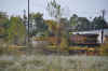 DSC_1356.jpg (95413 bytes)