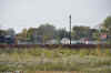 DSC_1383.jpg (96197 bytes)
