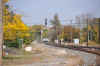 DSC_1386.jpg (111262 bytes)