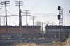 DSC_1444.jpg (99785 bytes)