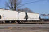 DSC_1505.jpg (100119 bytes)