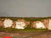 DSCN11582077.jpg (151611 bytes)