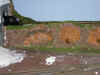 DSCN11702089.jpg (175776 bytes)