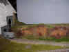 DSCN11902109.jpg (162866 bytes)