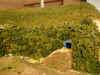 DSCN13892288.jpg (222561 bytes)
