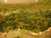 DSCN13902289.jpg (227330 bytes)