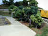 DSCN2454.jpg (159953 bytes)